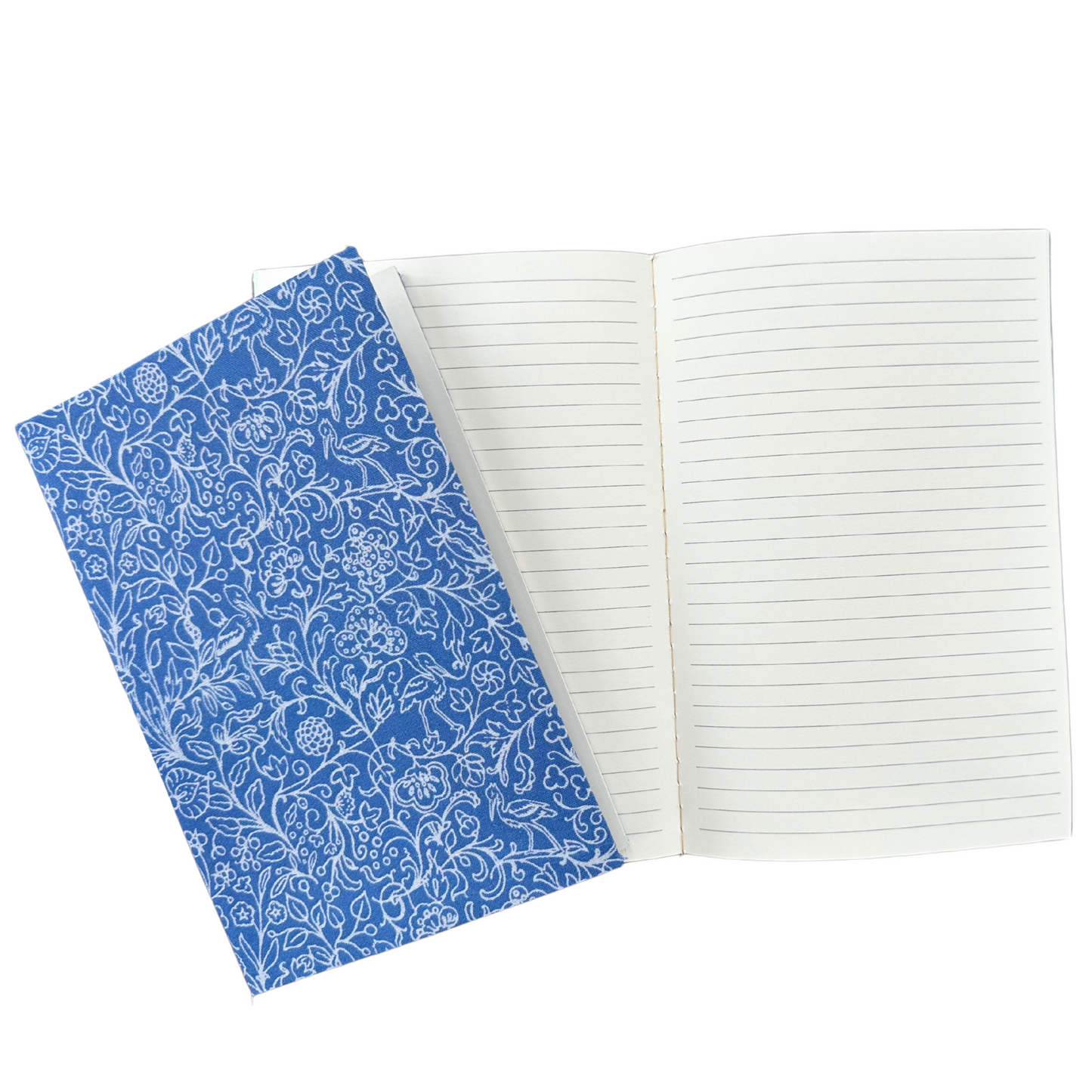 Blue Spring Notebook