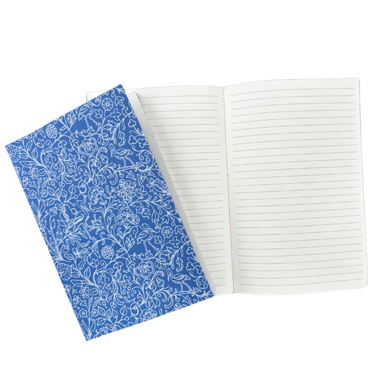 Blue Spring Notebook